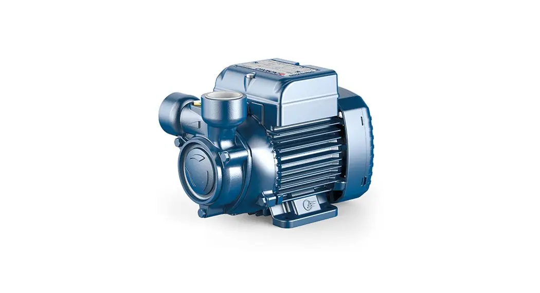 Pedrollo Pq 81-bs Pumps With Peripheral Impeller Instructions