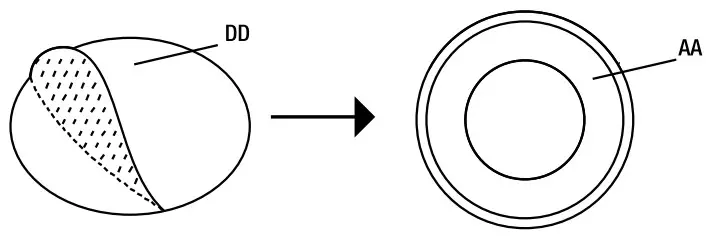 FEIT Electric CAM1WIFI Smart Indoor Camera - Attach