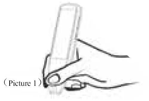 Shenzhen Bosheng Electronics Development S2A948-B265 Scanning Translation Pen 01