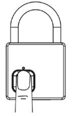 BURG WACHTER Scan and Lock 61053 - fingerprint 2.