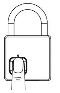 BURG WACHTER Scan and Lock 61053 - r fingerprint