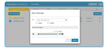 LEAVE SOMEONE A VOICEMAIL