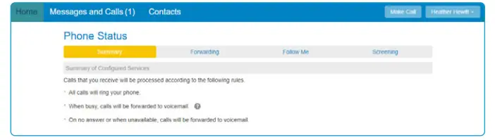 PHONE STATUS SECTION