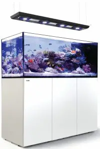 Red Sea REEFER Peninsula 650 Aquarium & Cabinet