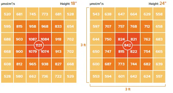 MAXSISUN MG Series MG3000 LED Grow Light fig 2