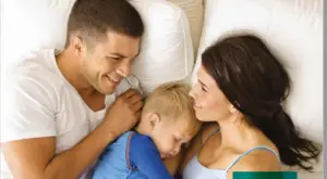 ROCKWOOL Safe’n’Sound