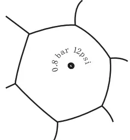 Fanttik X8 APEX Tire Inflator Portable Air Compressor - DETERMINING THE RIGHT PRESSURE VALUE 2