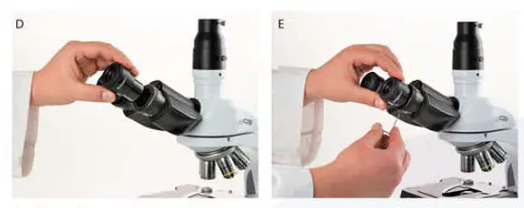 euromex -IS.1053-PLPOLi- iScope -Trinocular -Polarizing -Microscope -4