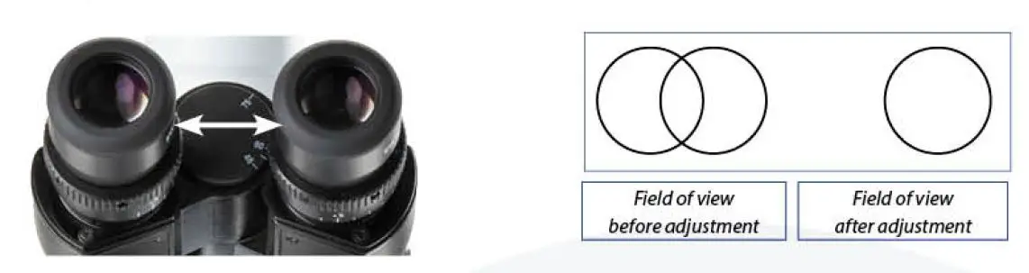 euromex -IS.1053-PLPOLi- iScope -Trinocular -Polarizing -Microscope -7