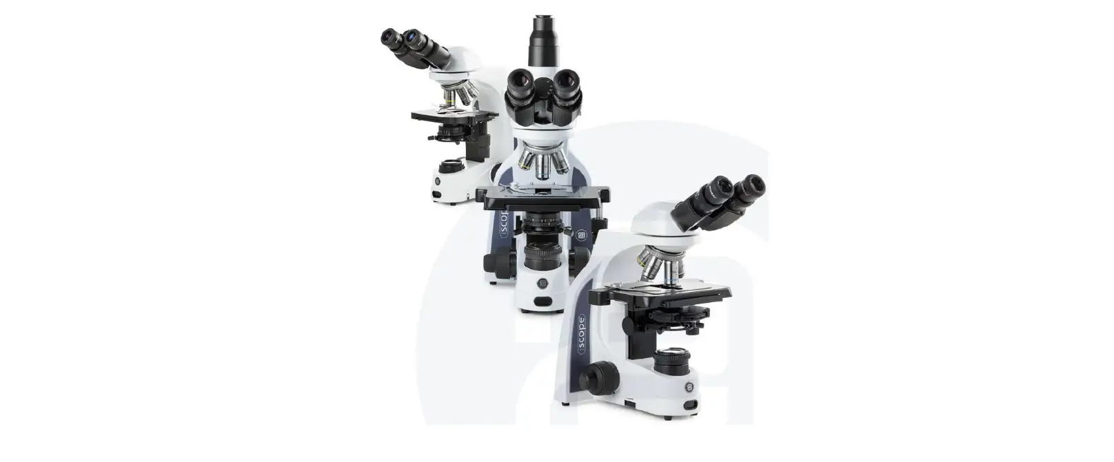 euromex -OX.2253-PLF- Oxion- Inverso -LifeScience- Phase- Contrast -Microscope -featured 2