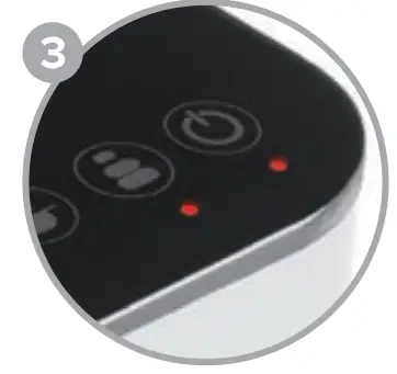 THE LITTLE GUY BE-SO-INDUCE-LITTLE GUY Induction Top 3