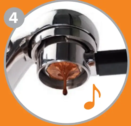 THE LITTLE GUY BE-SO-INDUCE-LITTLE GUY Induction Top 4