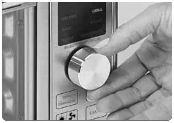 Grill Assembly and Using instruction