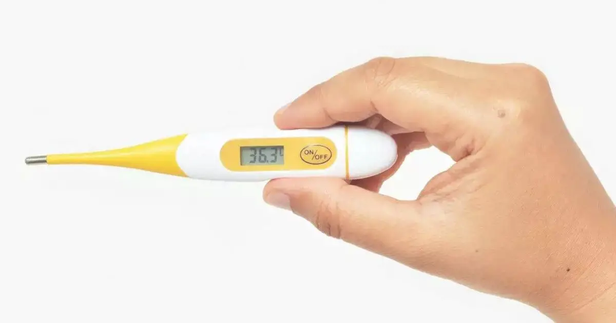 Enji Prime Th-65 Instant Flexible Digital Thermometer User Manual