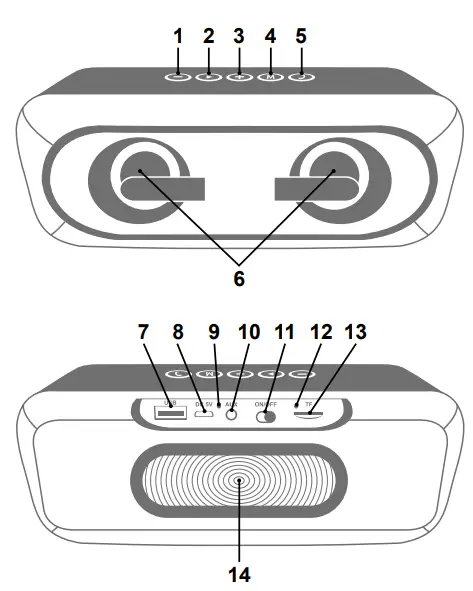 Fontastic 4024559256400 Conga Wireless Speaker-Overview