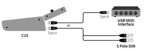NONLINEAR LABS C15 Sound Synthesizer - DIN Connectors