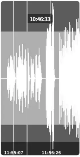 NONLINEAR LABS C15 Sound Synthesizer - Playing Back Recorded Audio