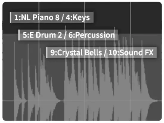 NONLINEAR LABS C15 Sound Synthesizer - Preset Labels