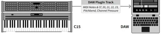 NONLINEAR LABS C15 Sound Synthesizer - Studio Setup 4