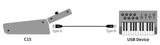 NONLINEAR LABS C15 Sound Synthesizer - USB Connection