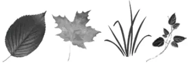 EJWOX 43 Gallon Tumbling Composter COMPOSTING 2