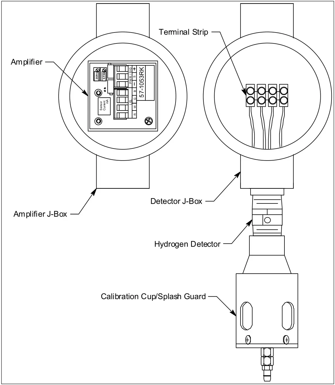 RKI 65-2462RK-04 Hydrogen Transmitter - Figure 1