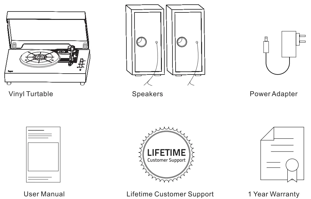 Lujii JQ 001 Vinyl Record Player - fig1