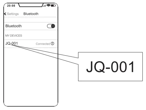 Lujii JQ 001 Vinyl Record Player - fig26
