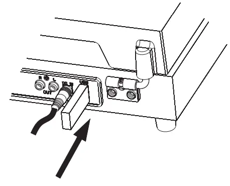 Lujii JQ 001 Vinyl Record Player - fig28