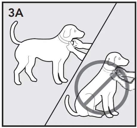 PetSafe Wireless Fence Receiver Collar for Make sure T