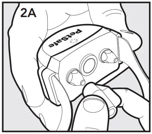 PetSafe Wireless Fence Receiver Collar for Prepare the Receiver