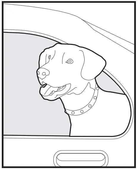 PetSafe Wireless Fence Receiver along the Walk your pet out