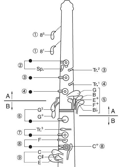 YAMAHA YOB-241 Oboe 03
