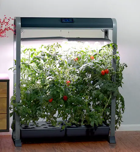 AeroGrow Farm 24 Trellis System