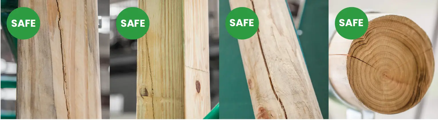 LIFESPAN KIDS Daintree Monkey Bar and Swing Set 05