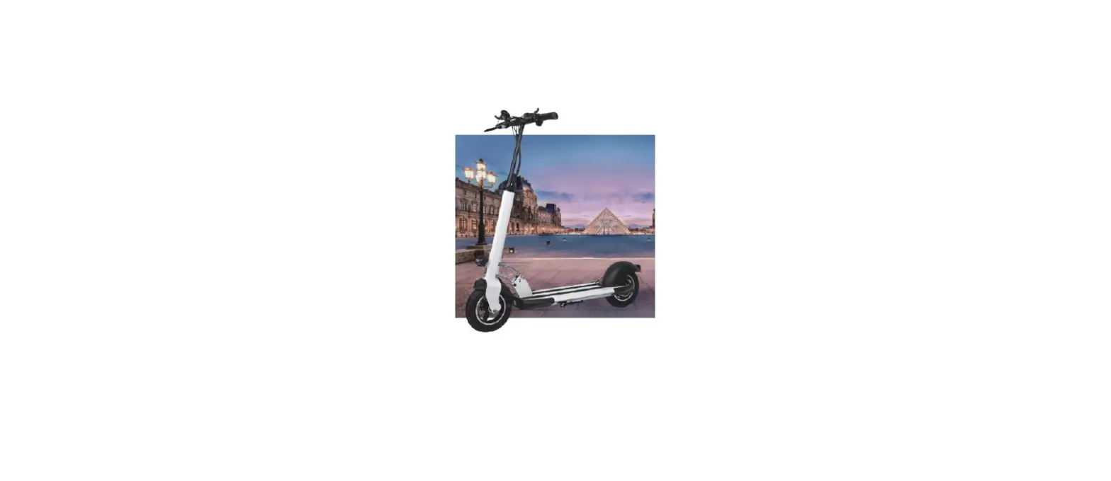 W-tec23398 E-scooter Tenmark User Manual