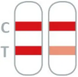 Result Interpretation