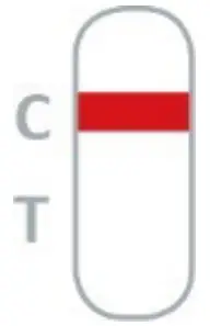 Result Interpretation