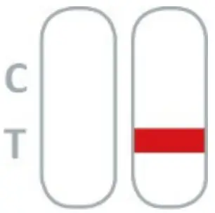 Result Interpretation