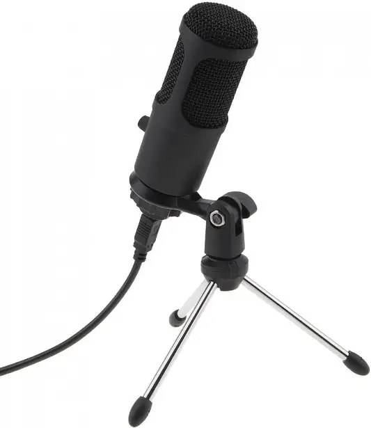 BAUHN ABTWPDQ-0223-M Condenser Microphone