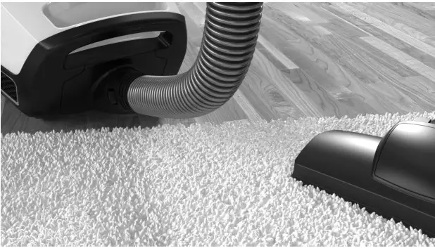 Miele Canister Vacuum Cleaner HS16 -- Operating