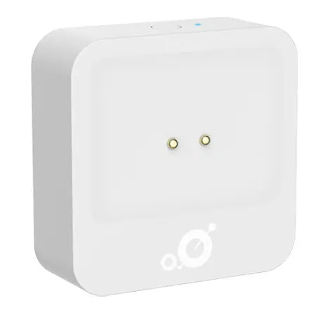 MERRYIOT WL10 Leak Detection product