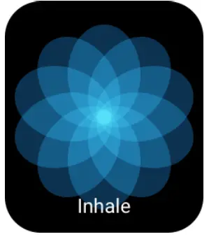 AMAZFIT Bip 3 Pro Smartwatch - Fig 10