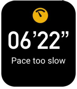 AMAZFIT Bip 3 Pro Smartwatch - Fig 16