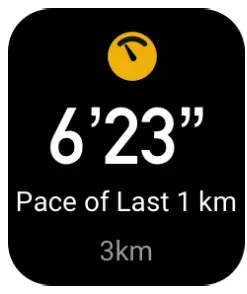 AMAZFIT Bip 3 Pro Smartwatch - Fig 17