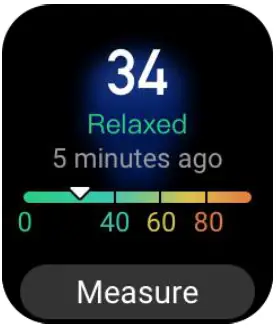 AMAZFIT Bip 3 Pro Smartwatch - Fig 9