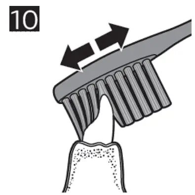 DiamondClean Smart Rechargeable Electric Toothbrush Use illustration