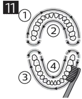 DiamondClean Smart Rechargeable Electric Toothbrush Use illustration