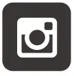 Instagram Icon