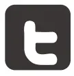 Twitter icon